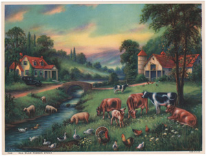 Vintage Calendar Art cows, cattle, livestock, farm life, etc.